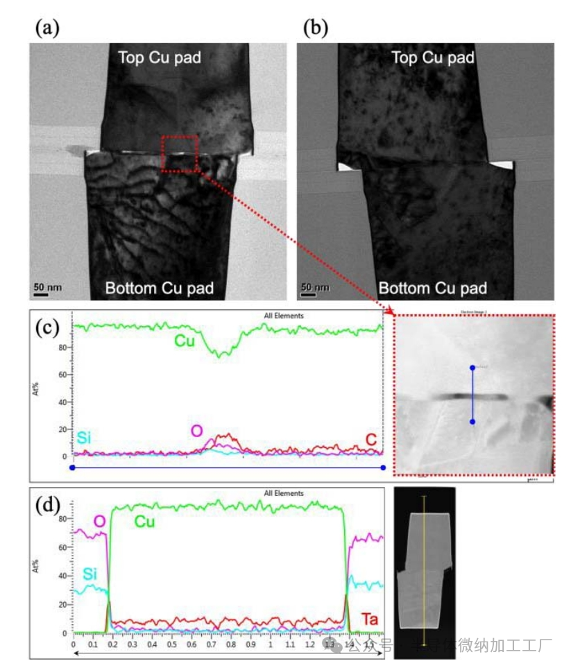 微信图片_2025-06-25_105412_795