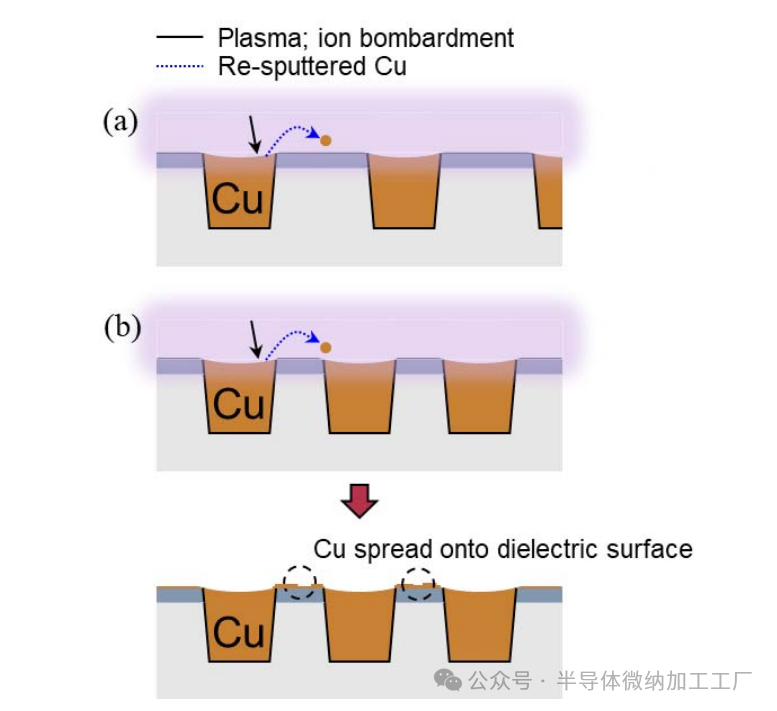 微信图片_2025-06-25_105335_369