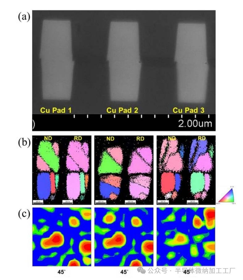 微信图片_2025-06-25_105416_459