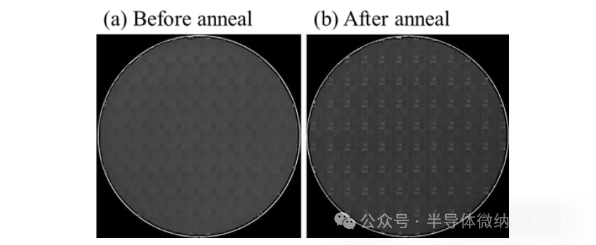 微信图片_2025-06-25_105404_216