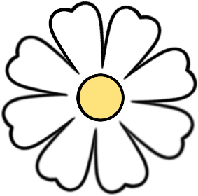 雌二醇含量與雜質，如何測得又準又穩？