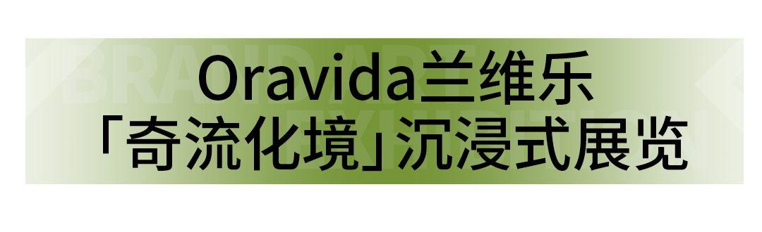艺术展览_展览艺术品_展览艺术家