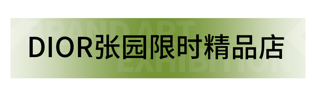 展览艺术家_艺术展览_展览艺术品