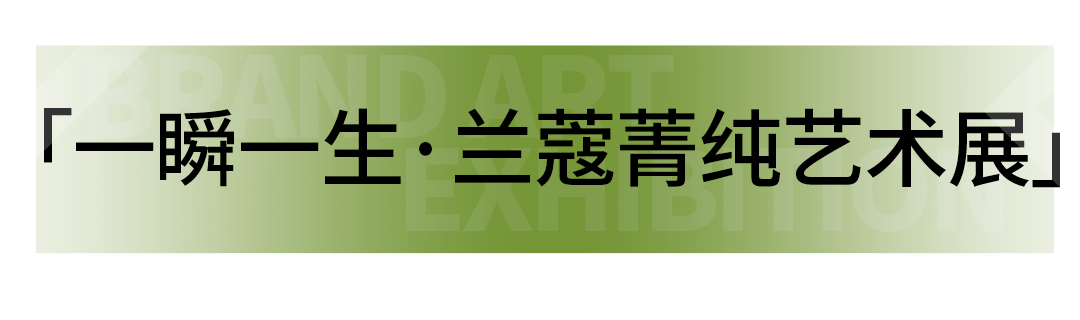 艺术展览_展览艺术品_展览艺术家
