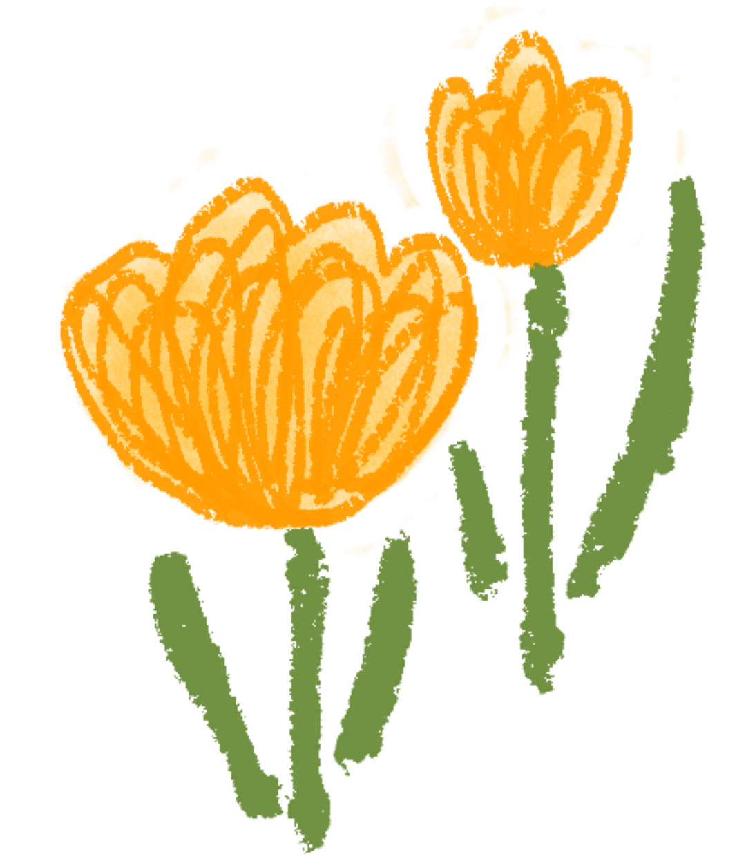 医用脱毛剂是什么科普 ｜ 夏天不做“猕猴桃”，这份脱毛攻略请收好_https://www.jmylbn.com_新闻资讯_第6张