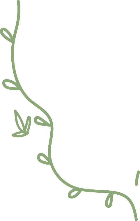 采血管颜色代表什么科普 ｜ 采血管的“彩虹密码”：为什么采集血液的管子五颜六色？_https://www.jmylbn.com_新闻资讯_第12张