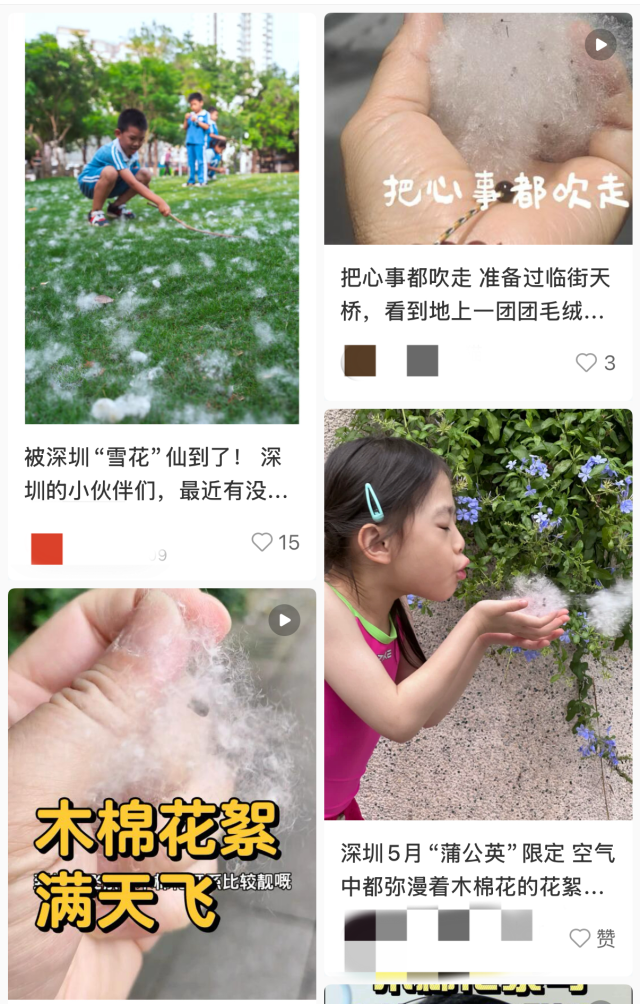图片来源：小红书截图