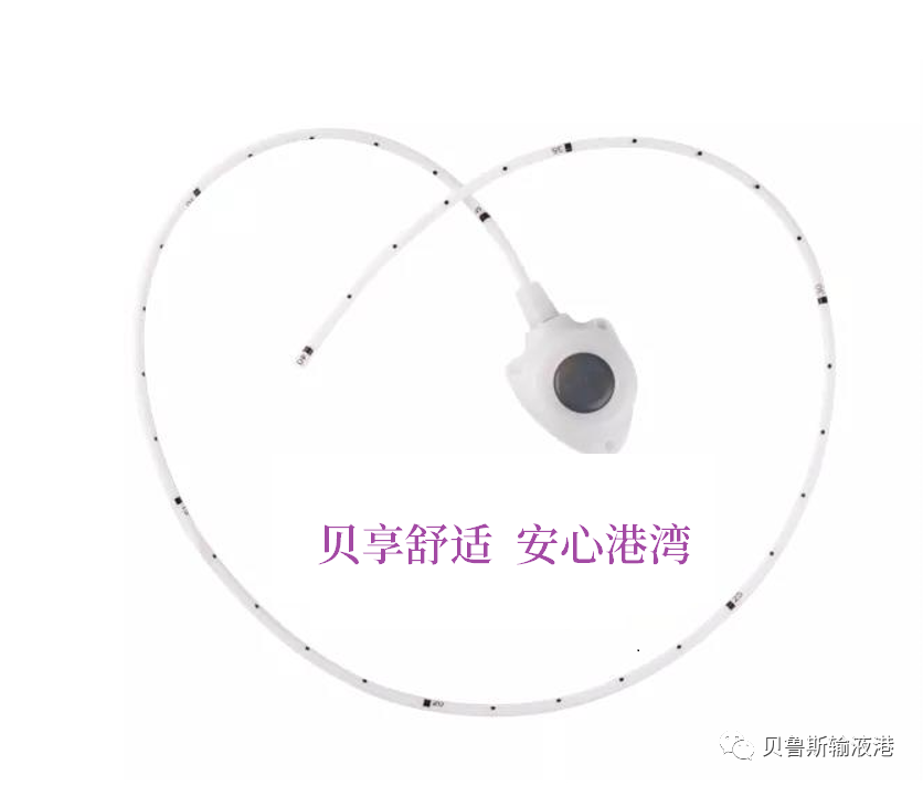 fr导管单位怎么读如何根据置入的静脉选择合适的导管？_https://www.jmylbn.com_新闻资讯_第6张