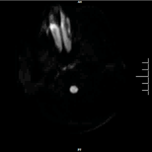病历夹什么径技·第152期｜串联营病历夹：川陕大营_https://www.jmylbn.com_新闻资讯_第58张