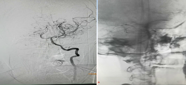 病历夹什么径技·第152期｜串联营病历夹：川陕大营_https://www.jmylbn.com_新闻资讯_第32张