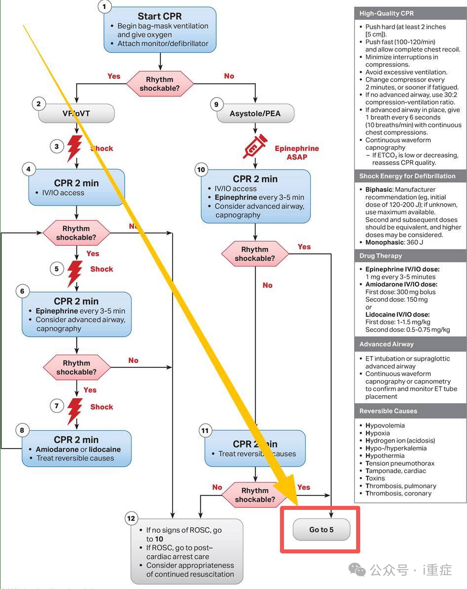 新生儿电极片怎么贴2025年美国AHA心肺复苏指南更新_https://www.jmylbn.com_新闻资讯_第12张