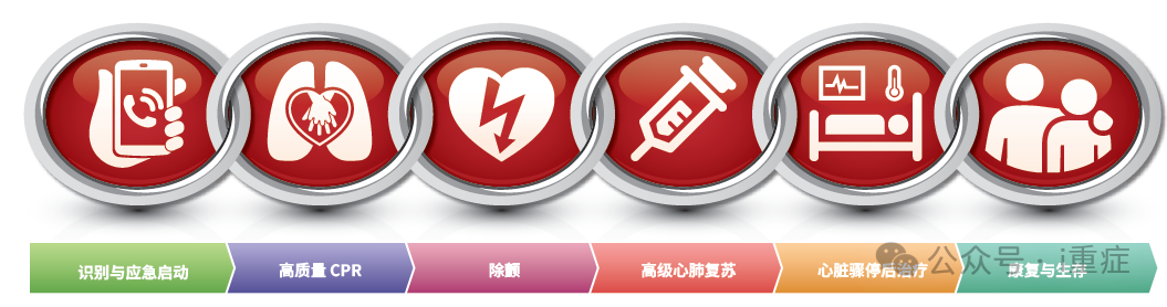 新生儿电极片怎么贴2025年美国AHA心肺复苏指南更新_https://www.jmylbn.com_新闻资讯_第3张