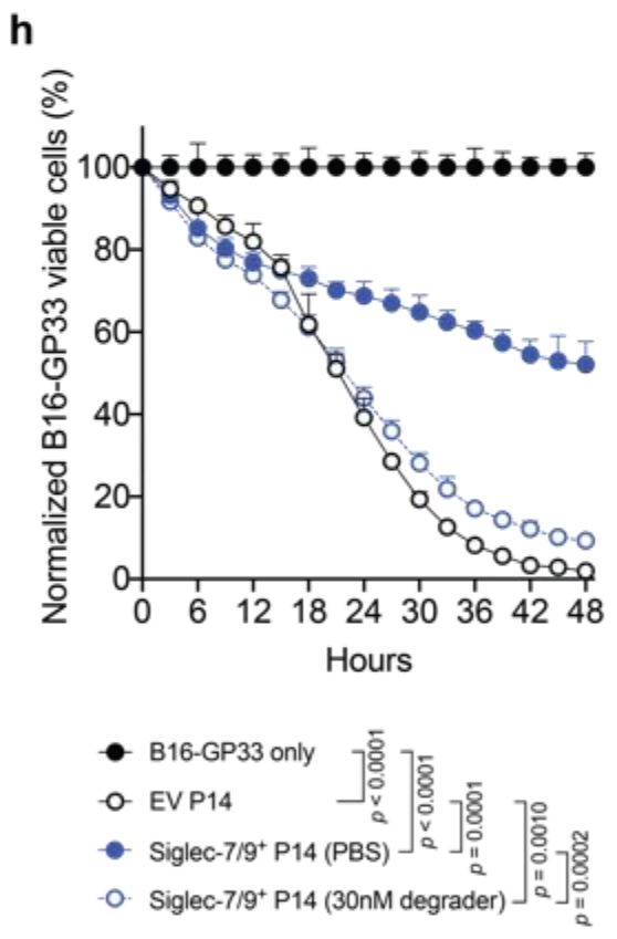 Incucyte® 與諾貝爾獎(jiǎng)的故事｜靶向聚糖的腫瘤治療篇