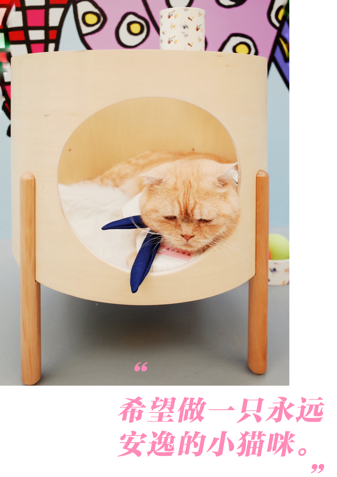 被王一博选中的猫中boss Deco时髦朋友 Elledeco家居廊 微信公众号文章阅读 Wemp