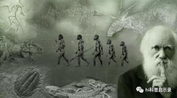 佛说世间生物_佛说世间生物_佛说世间生物