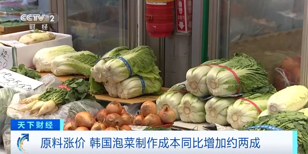 韩国市场超50%泡菜，都产自中国这一城市→