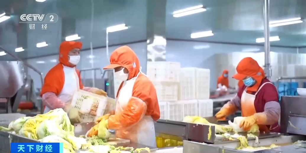 韩国市场超50%泡菜，都产自中国这一城市→