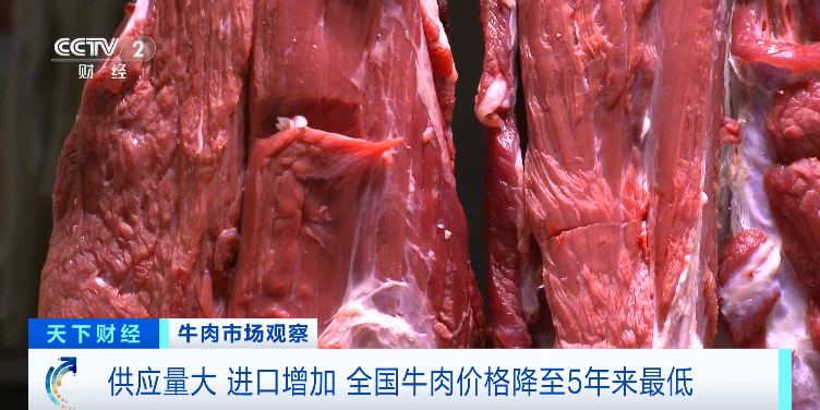 牛肉价格持续下降？官方回应