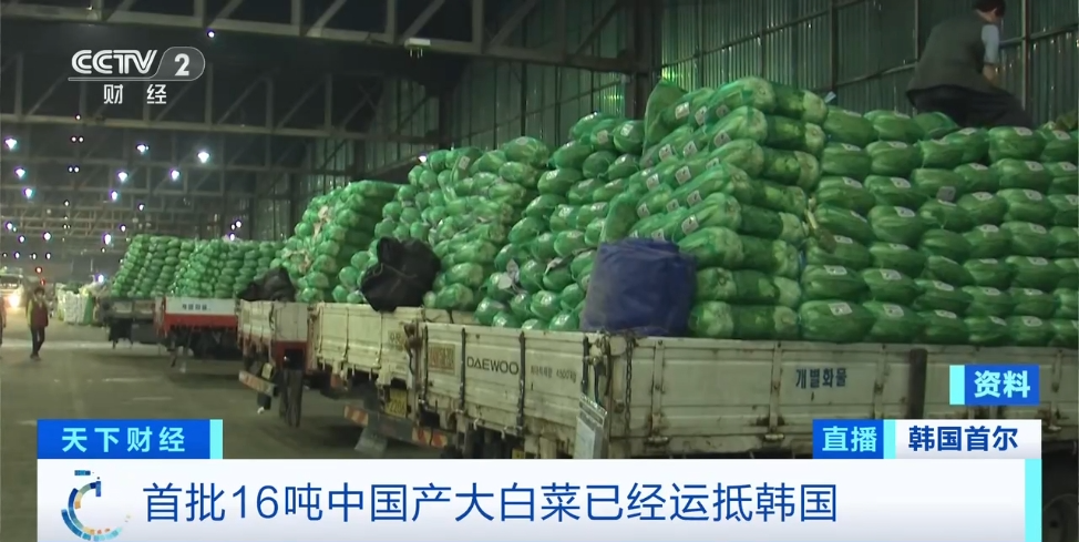 断货！限购！韩国陷“白菜荒”！什么情况？
