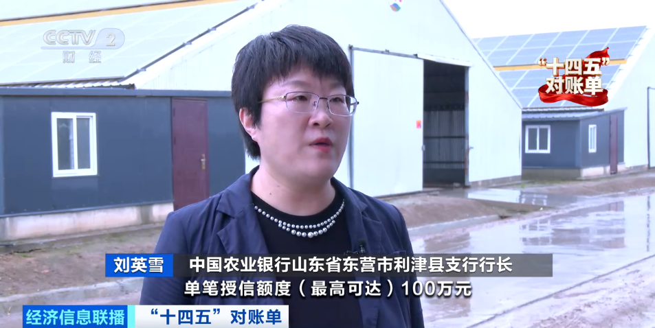 金融“活水”浇灌高质量发展沃土