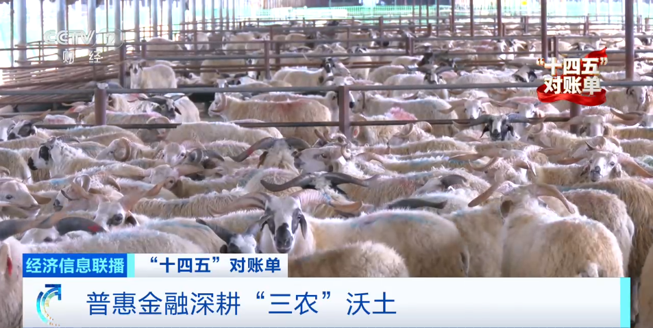 金融“活水”浇灌高质量发展沃土