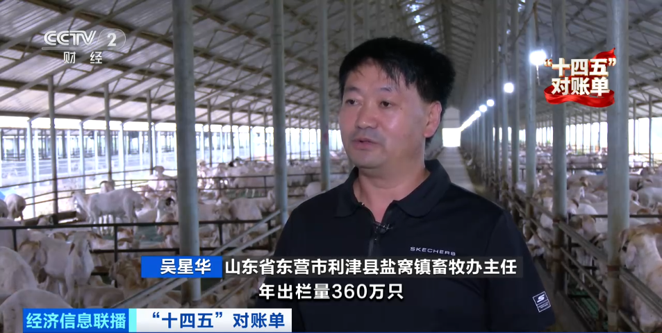 金融“活水”浇灌高质量发展沃土