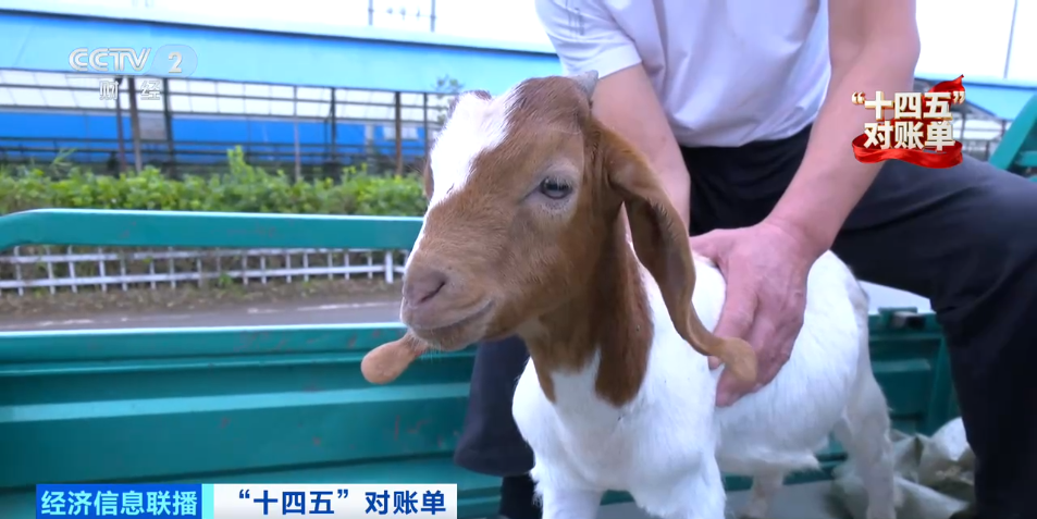 金融“活水”浇灌高质量发展沃土