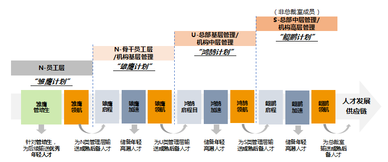 人才发展供应链
