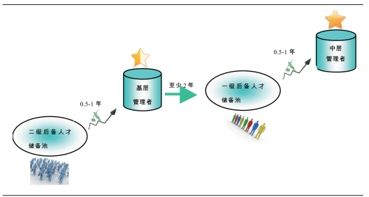 两级人才储备池