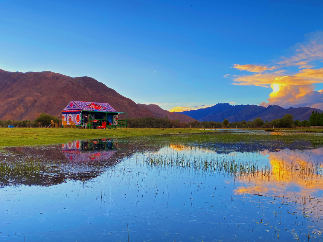 拉萨这些网红林卡……约起! - 玩转西藏网(51wzxz.com)