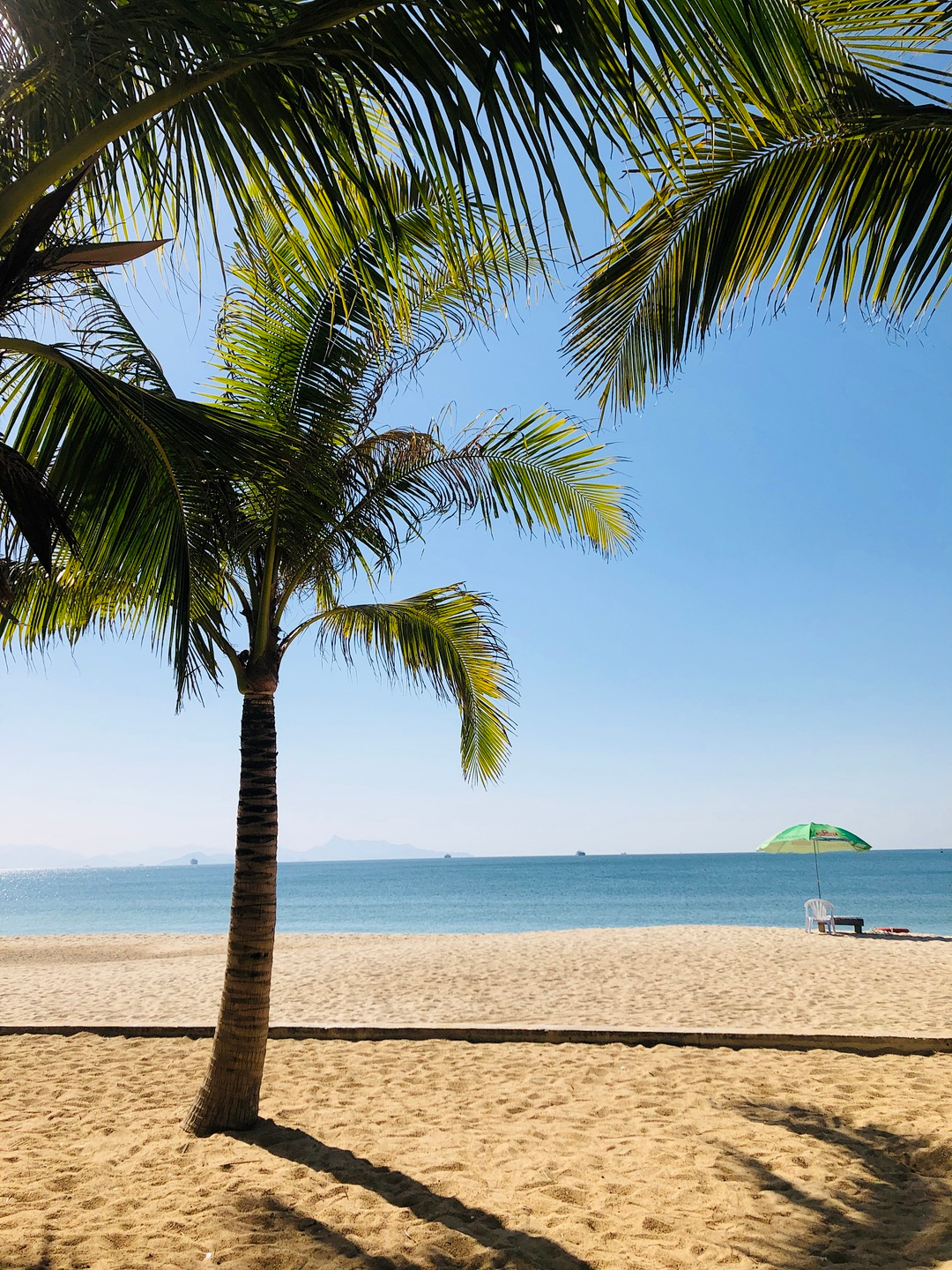 【深圳玫瑰海岸】惊喜价93元抢价值98元『玫瑰海岸 骑马体验成人票』