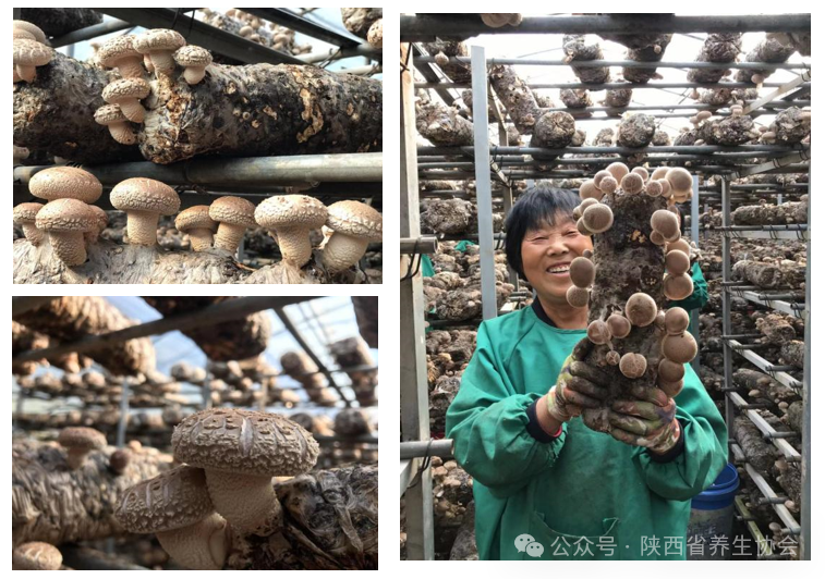 2025-06-19 17 24 16.png