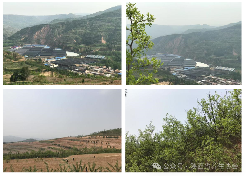 2025-06-19 17 25 21.png