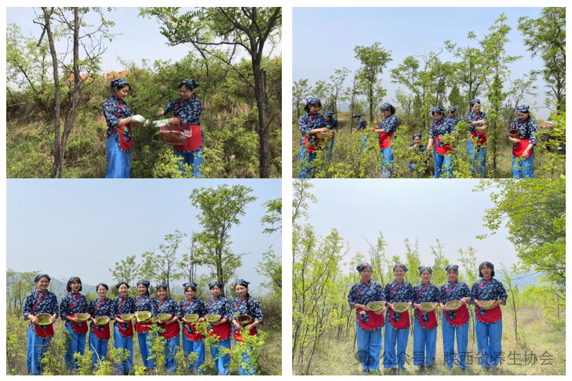 2025-06-19 17 26 53.png