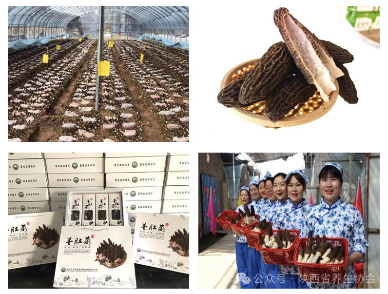 2025-06-19 17 24 41.png