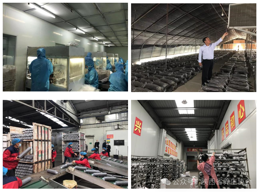 2025-06-19 17 23 47.png