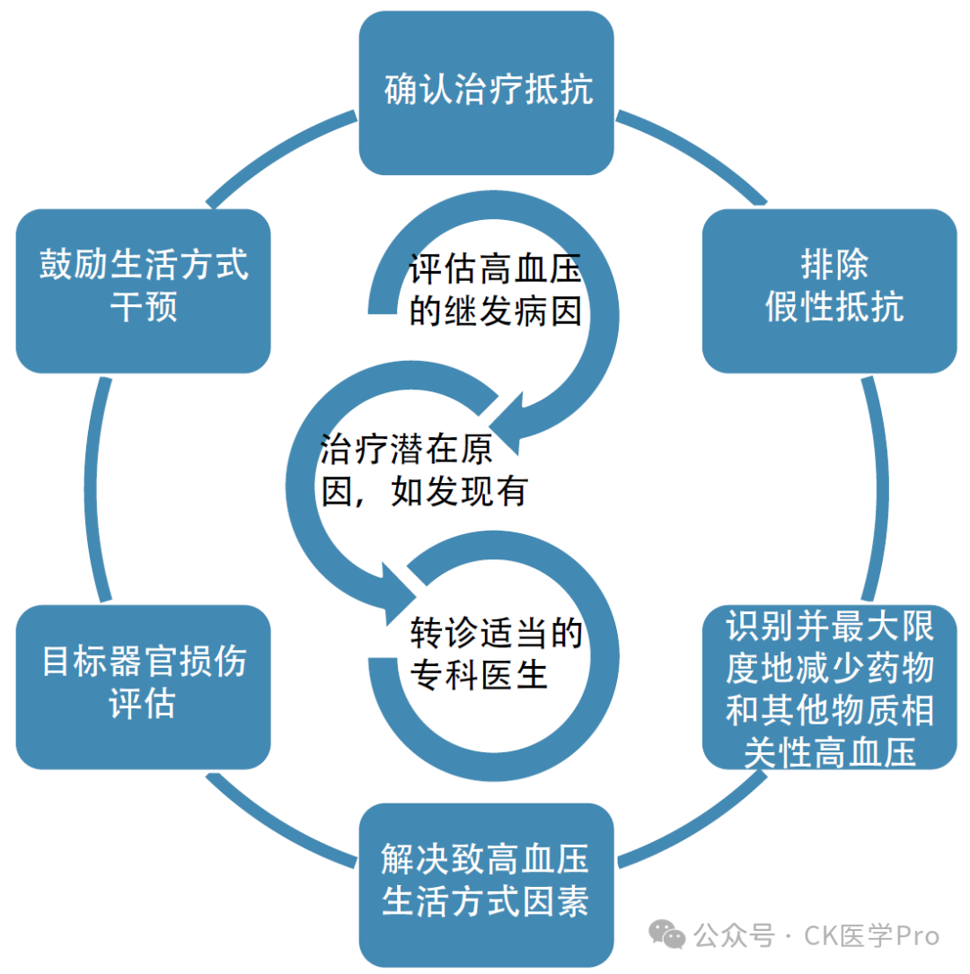 abp在医学是什么意思临诊应对 l 2024难治性高血压的评估和管理（全科版）_https://www.jmylbn.com_新闻资讯_第2张
