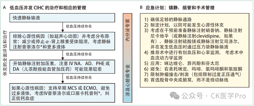 Med什么hg临床疑难 l 2024-PPGL高血压危象：当前见解和管理（全／O）＊＊-上海聚慕医疗器械有限公司