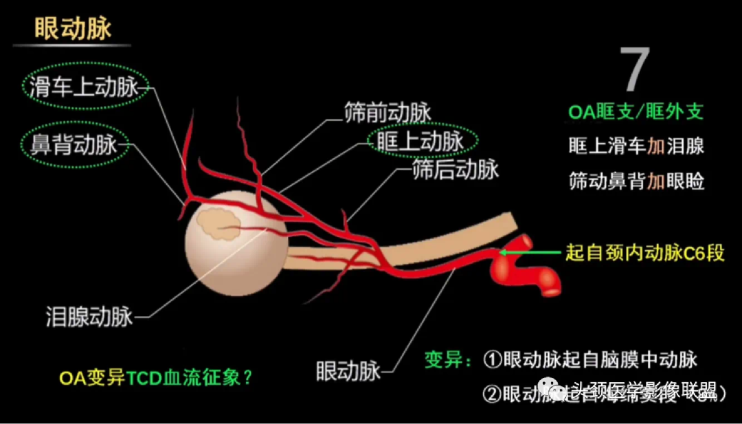 明胶在血管怎么降解前沿文献（第147期）视网膜母细胞瘤动脉内化疗中远端颈外动脉分支的可吸收明胶海绵栓塞_https://www.jmylbn.com_新闻资讯_第3张