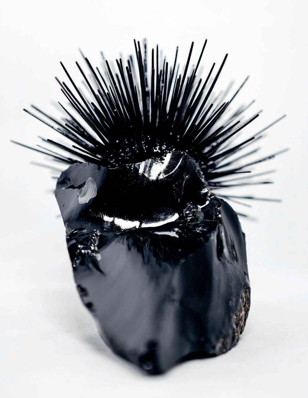 对话法国权威预测机构get色彩与设计应用指南