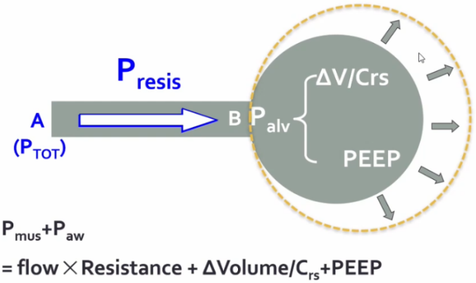 呼吸机呼气阀是什么如何正确使用无创正压通气治疗_https://www.jmylbn.com_新闻资讯_第4张