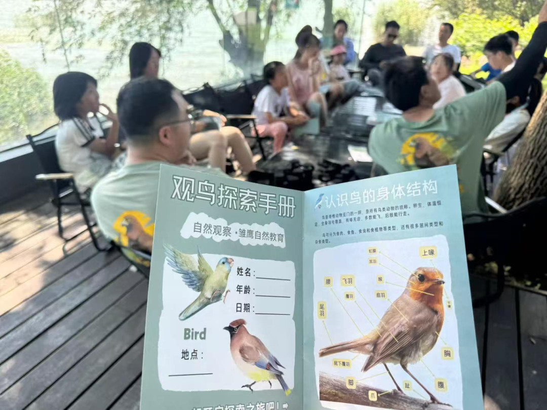 图片6.png