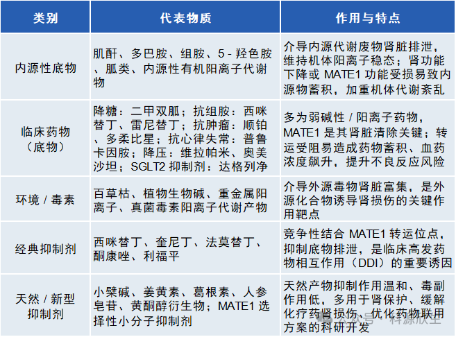 科源欣生推出新品MATE1 转运体细胞