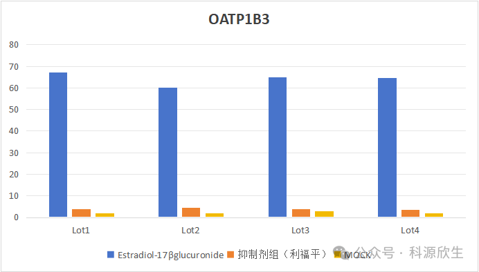 科源欣生推出新品OATP1B3转运体