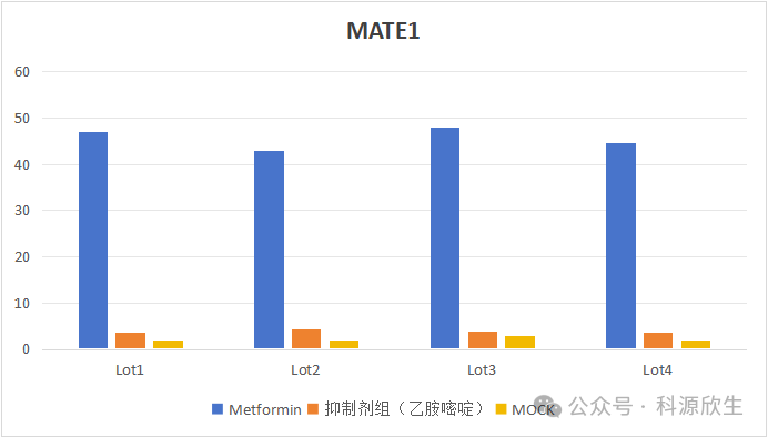 科源欣生推出新品MATE1 转运体细胞