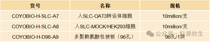 科源欣生新品SLC转运体 OAT3发布