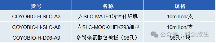 科源欣生推出新品MATE1 转运体细胞