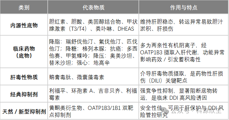 科源欣生推出新品OATP1B3转运体