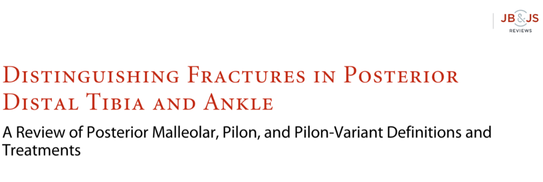 JBJS：后踝骨折、后Pilon骨折及后Pilon变异型骨折的定义与治疗