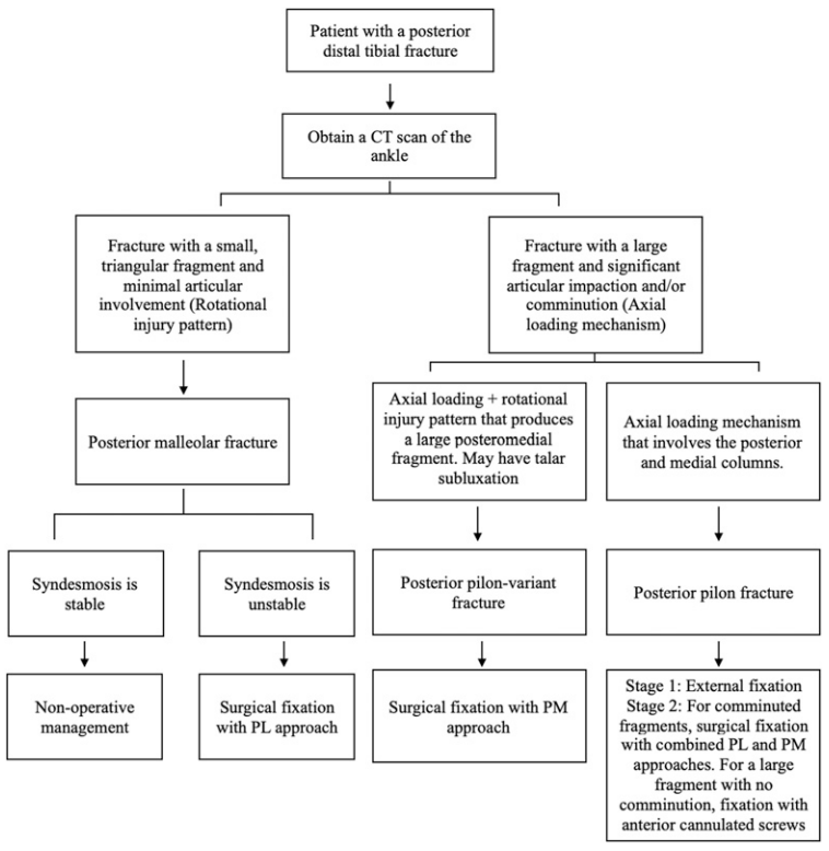 JBJS：后踝骨折、后Pilon骨折及后Pilon变异型骨折的定义与治疗